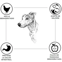 Criadores Adulto Pollo y Arroz pienso para perros de raza mediana
