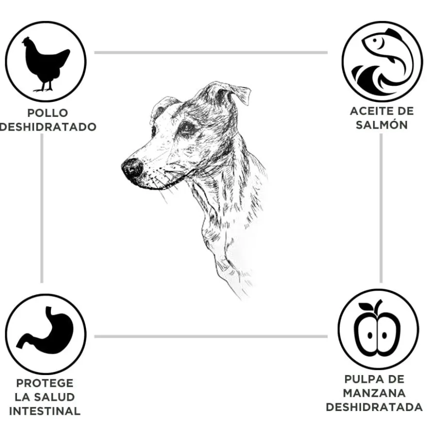 Criadores Adulto Pollo y Arroz pienso para perros de raza mediana