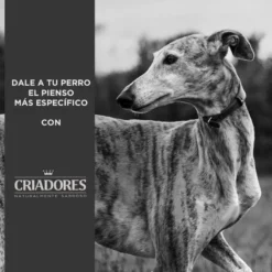 Criadores Adulto Pollo y Arroz pienso para perros de raza mediana
