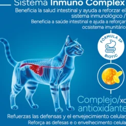 Criadores Científico Adulto Esterilizado Pollo pienso para gatos