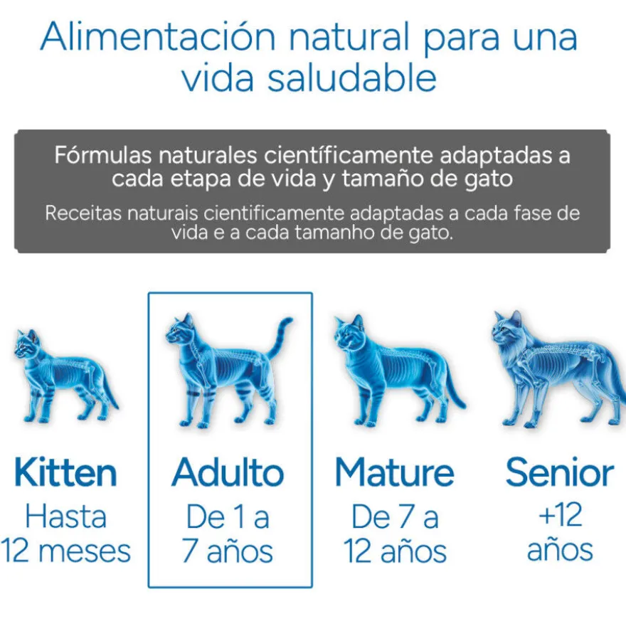 Criadores Científico Adulto Esterilizado Pescado Blanco pienso para gatos