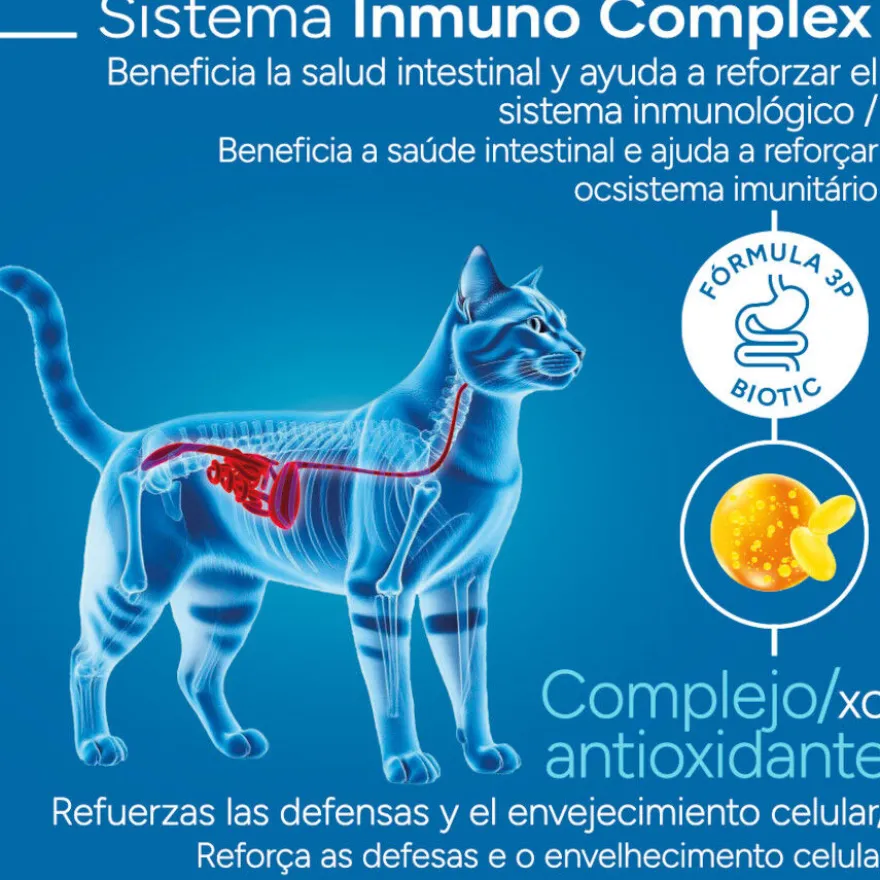 Criadores Científico Adulto Esterilizado Pescado Blanco pienso para gatos