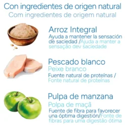 Criadores Científico Adulto Esterilizado Pescado Blanco pienso para gatos