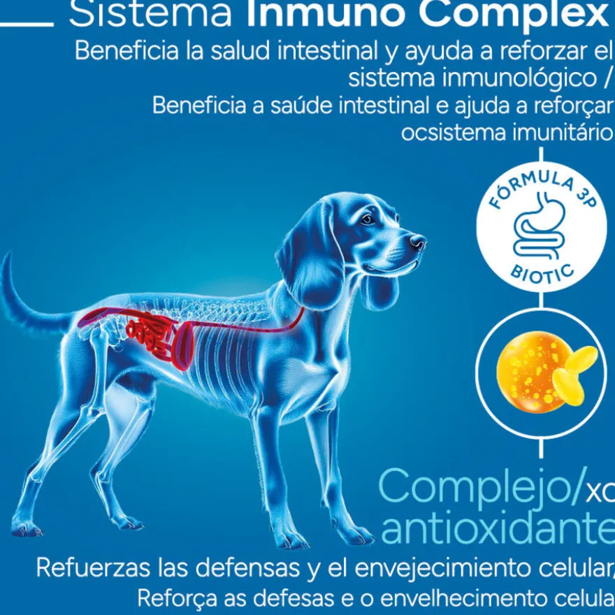 Criadores Científico Adulto Medium Pienso Pollo para perros