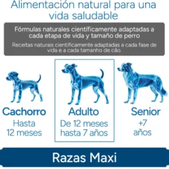 Criadores Científico Adulto Maxi Pienso Pollo para perros