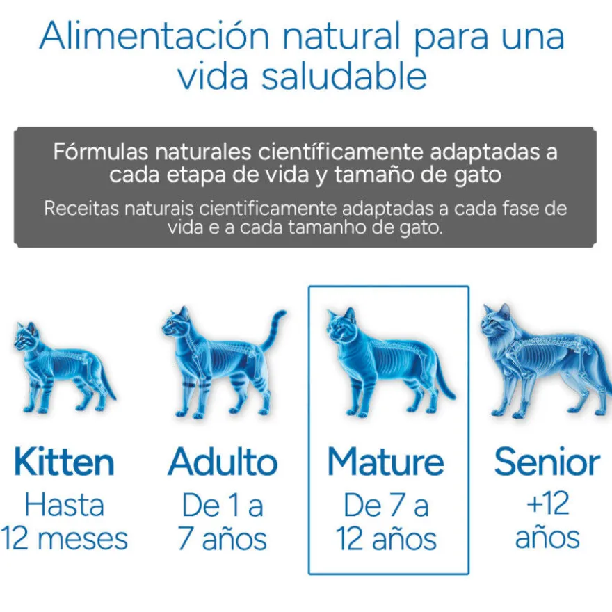 Criadores Científico Mature +7 Pollo pienso para gatos