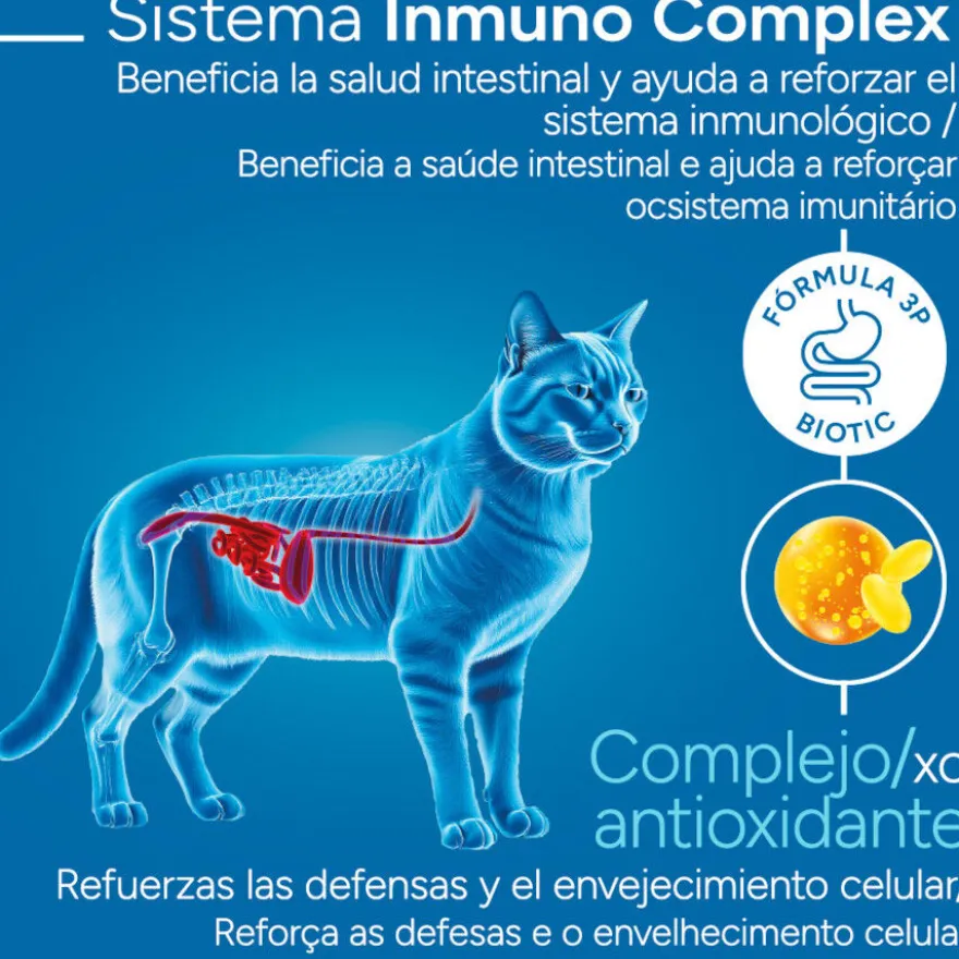 Criadores Científico Mature +7 Pollo pienso para gatos