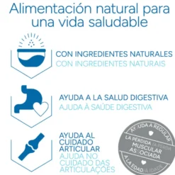 Criadores Científico Mature +7 Pollo pienso para gatos