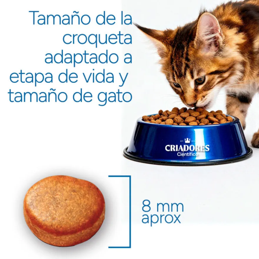 Criadores Científico Mature +7 Pollo pienso para gatos