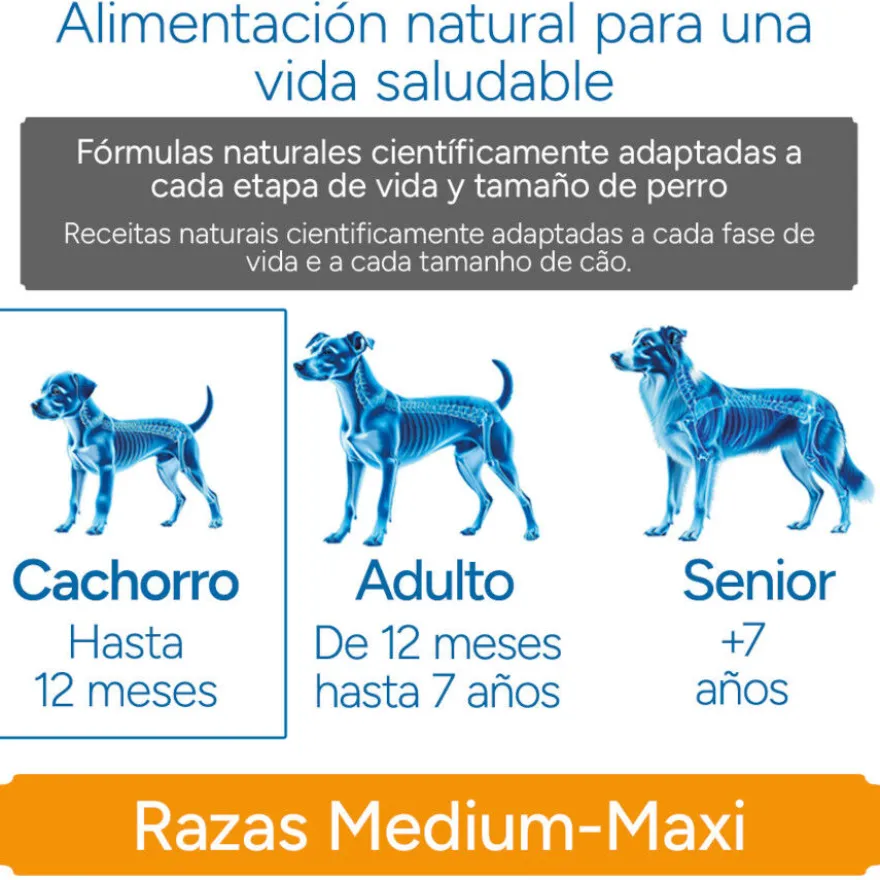 Criadores Científico Medium Maxi Pienso Pollo para cachorros