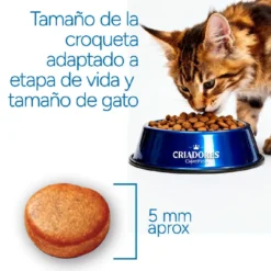 Criadores Científico Mother&BabyCat pollo pienso para gatos