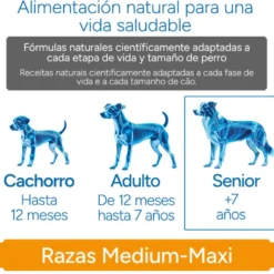 Criadores Científico Senior Pienso para perros de razas medianas y grandes