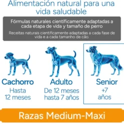 Criadores Científico Senior Sensitive Medium-Maxi Pienso Salmón para perros