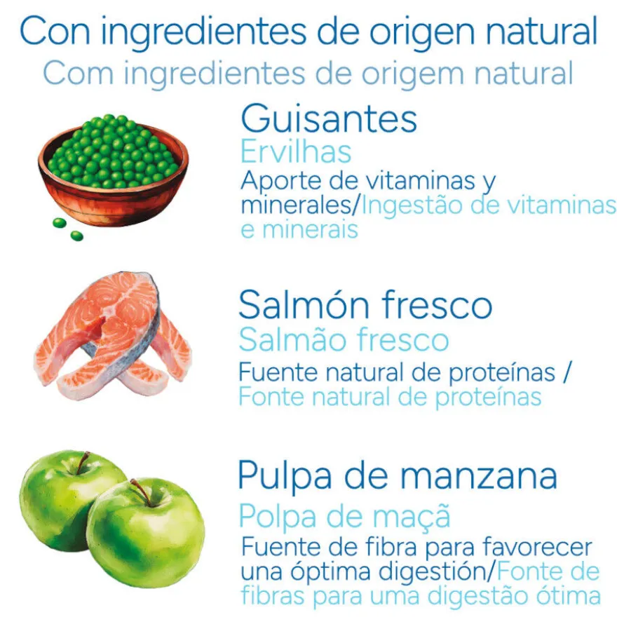 Criadores Científico Senior Sensitive Medium-Maxi Pienso Salmón para perros