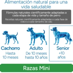 Criadores Científico Senior Sensitive Mini Pienso Salmón para perros