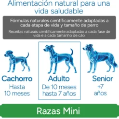 Criadores Científico Sensitive Adulto Mini Pienso Salmón para perros