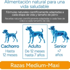 Criadores Científico Sensitive Adulto Medium-Maxi Pienso Salmón para perros