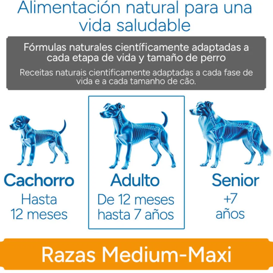 Criadores Científico Sensitive Adulto Medium-Maxi Pienso Salmón para perros