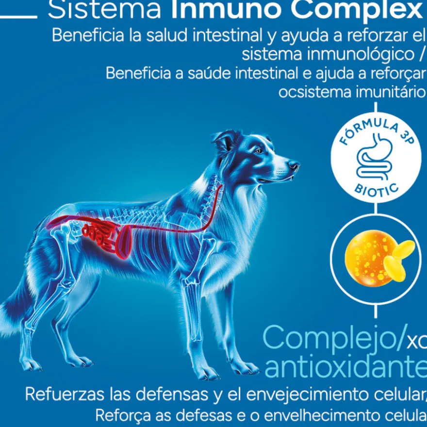 Criadores Científico Sensitive Adulto Medium-Maxi Pienso Salmón para perros