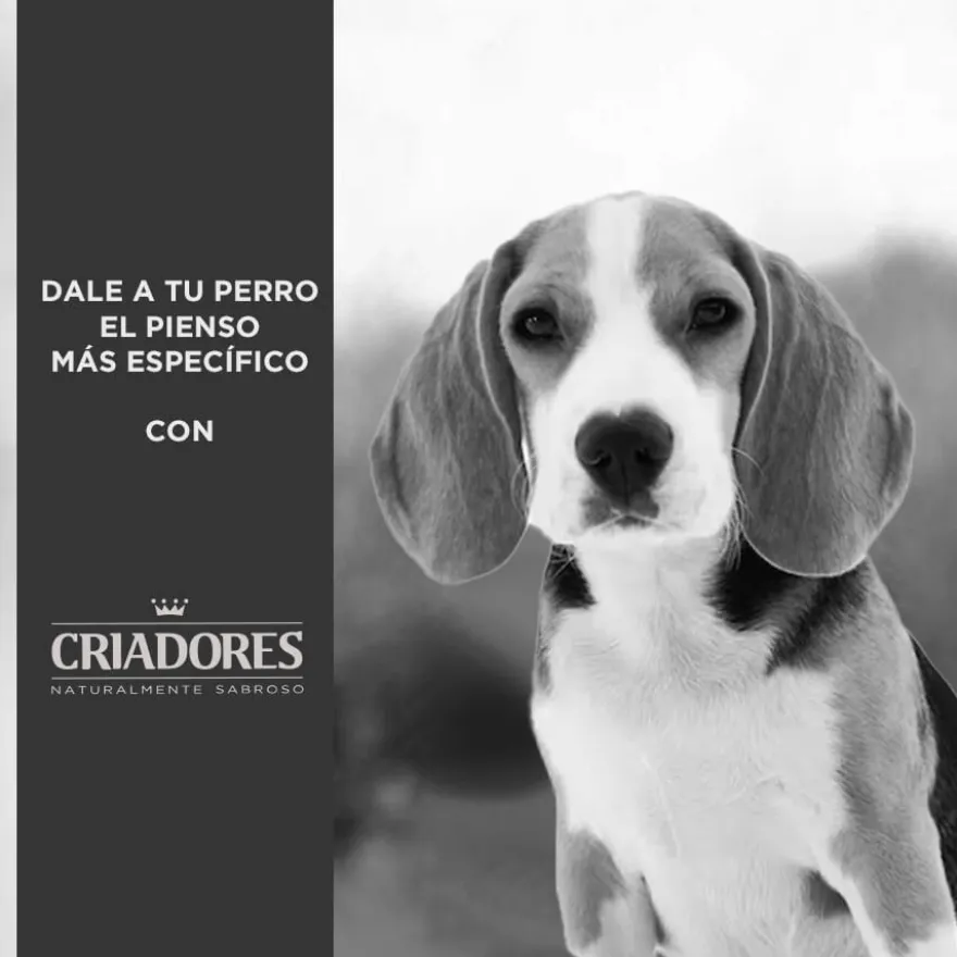 Criadores Dietetic Hipoalergénico Adulto pienso para perros