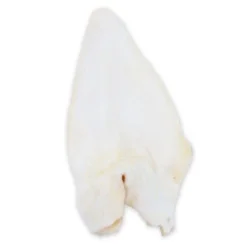 Criadores Oreja de búfalo snack natural para perros