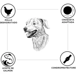 Criadores Pollo y Arroz pienso para cachorros de razas grandes