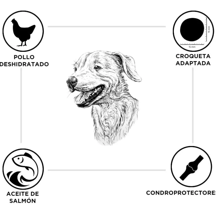 Criadores Pollo y Arroz pienso para cachorros de razas grandes
