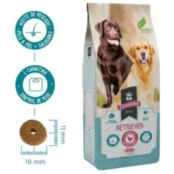 Criadores Retriever pienso para perros