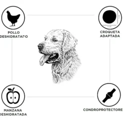 Criadores Senior Pollo y Arroz pienso para perros de razas medianas y grandes