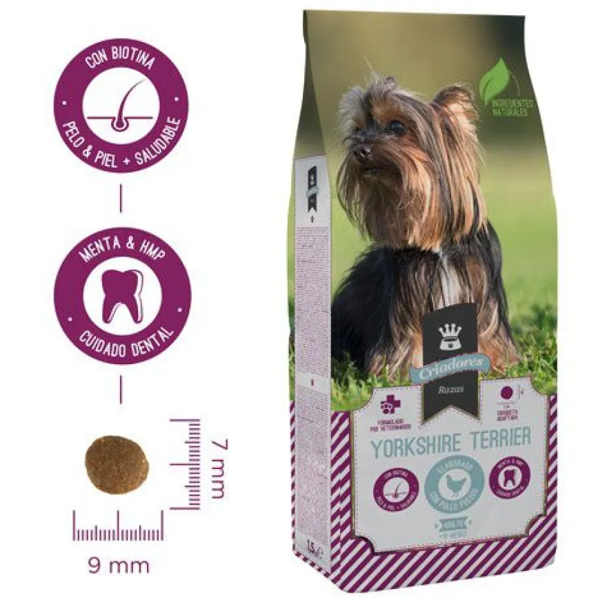 Criadores Yorkshire Terrier pienso para perros