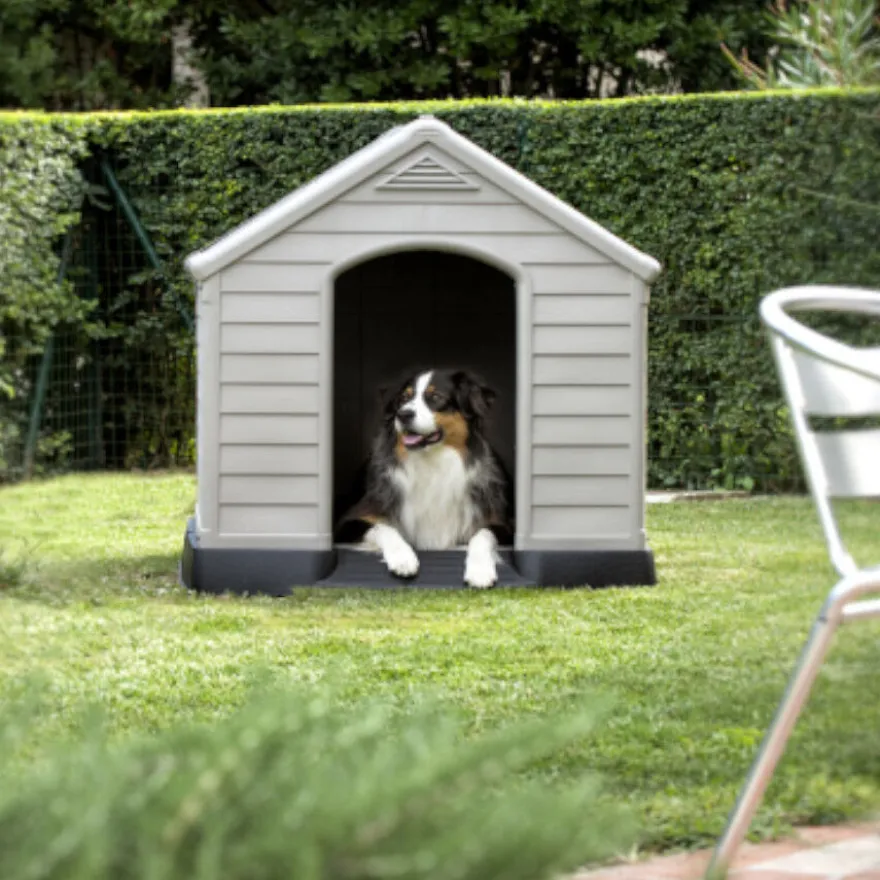 Curver Caseta para perros