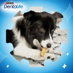 Dentalife Snacks Dentales para perros medianos
