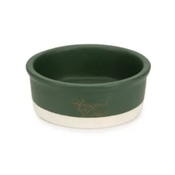 Designed by Lotte Joa Comedero de Cerámica Verde para perros