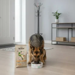 Dibaq Sense Low Grain Adult Pollo Pienso para perros