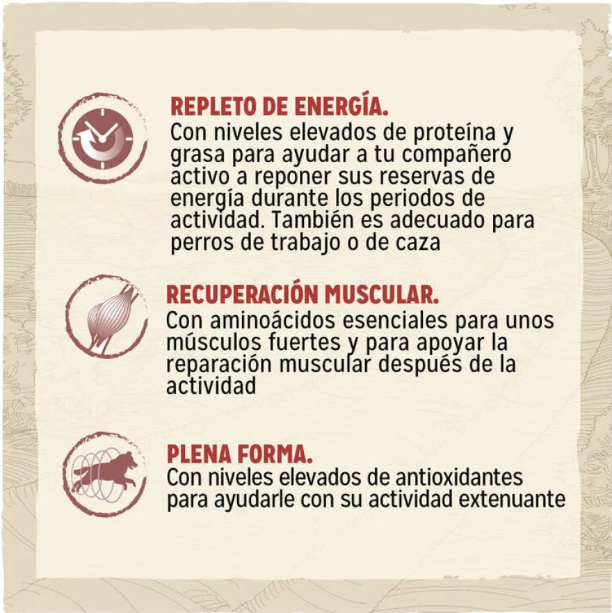 Dog Chow Active Pollo pienso para perros