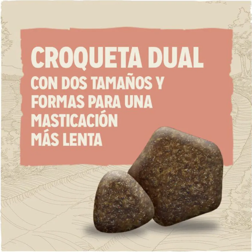 Dog Chow Active Pollo pienso para perros