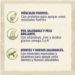 Dog Chow Adult Cordero pienso para perros