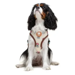 Dukier Arnés Reversible Estampado Tortugas para perros