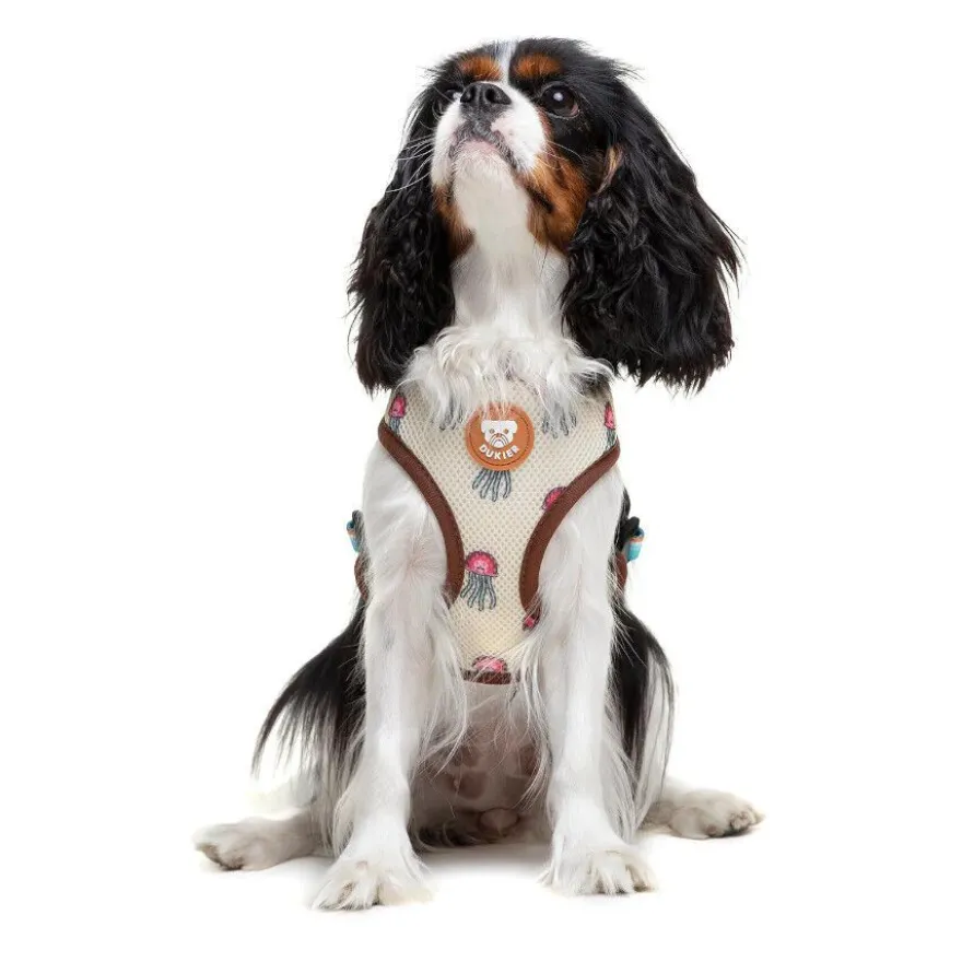 Dukier Arnés Reversible Estampado Tortugas para perros