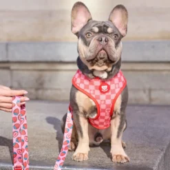 Dukier Arnés Reversible Estampado Berry Love para perros
