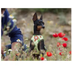 Dukier Avocado Arnés Reversible Estampado Aguacate para perros