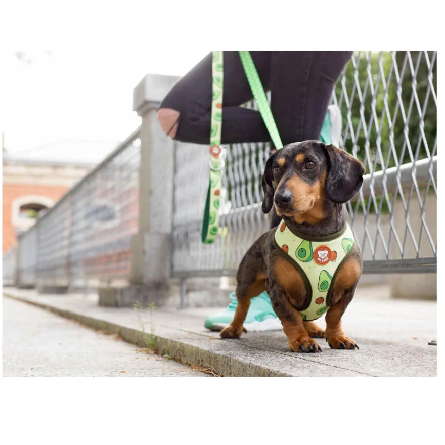 Dukier Avocado Arnés Reversible Estampado Aguacate para perros