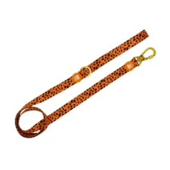 Dukier Cheetah correa para perros