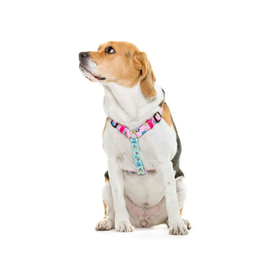 Dukier Clásico Arnés Estampado Princesas para perros