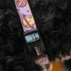 Dukier Collar Estampado Alien para perros