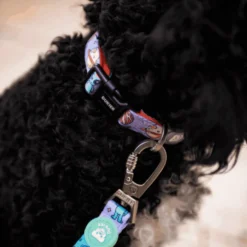Dukier Collar Estampado Alien para perros