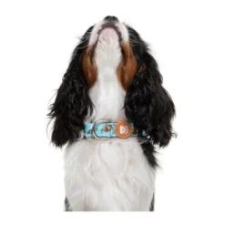 Dukier Collar Estampado Tortugas para perros