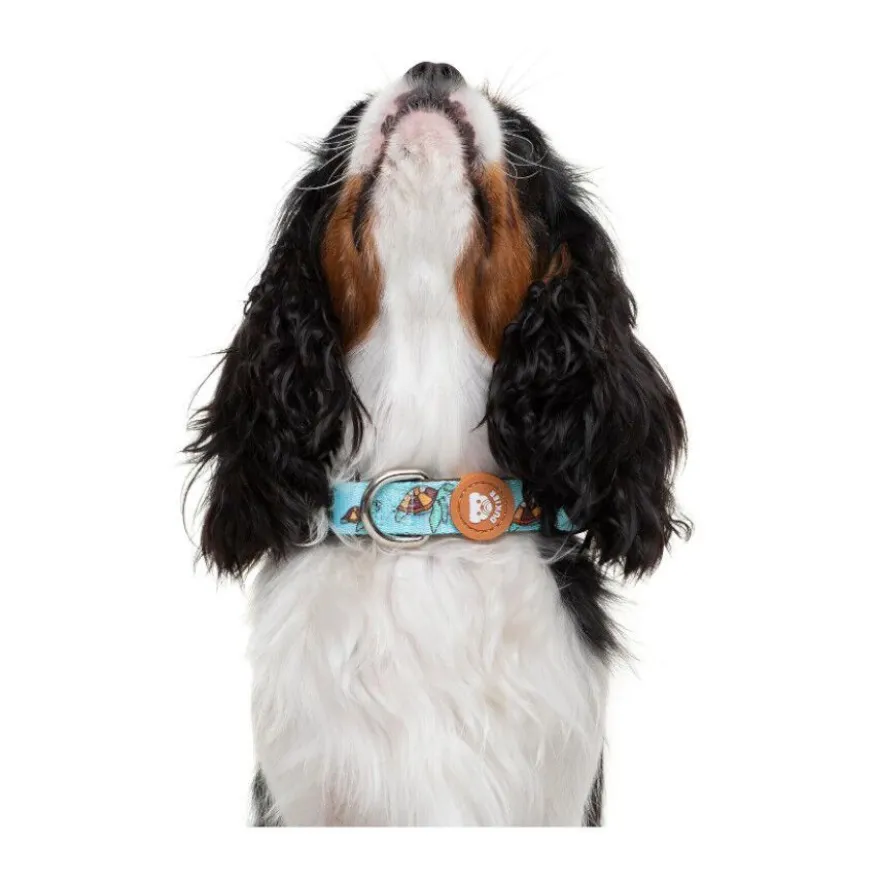 Dukier Collar Estampado Tortugas para perros
