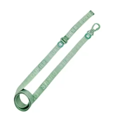 Dukier Correa Color Verde para perros