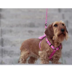 Dukier Dogtella Clásico Arnés Estampado Nutella para perros